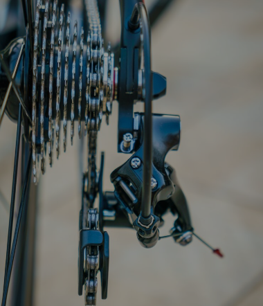 How Fast Do Electric Bikes Go?