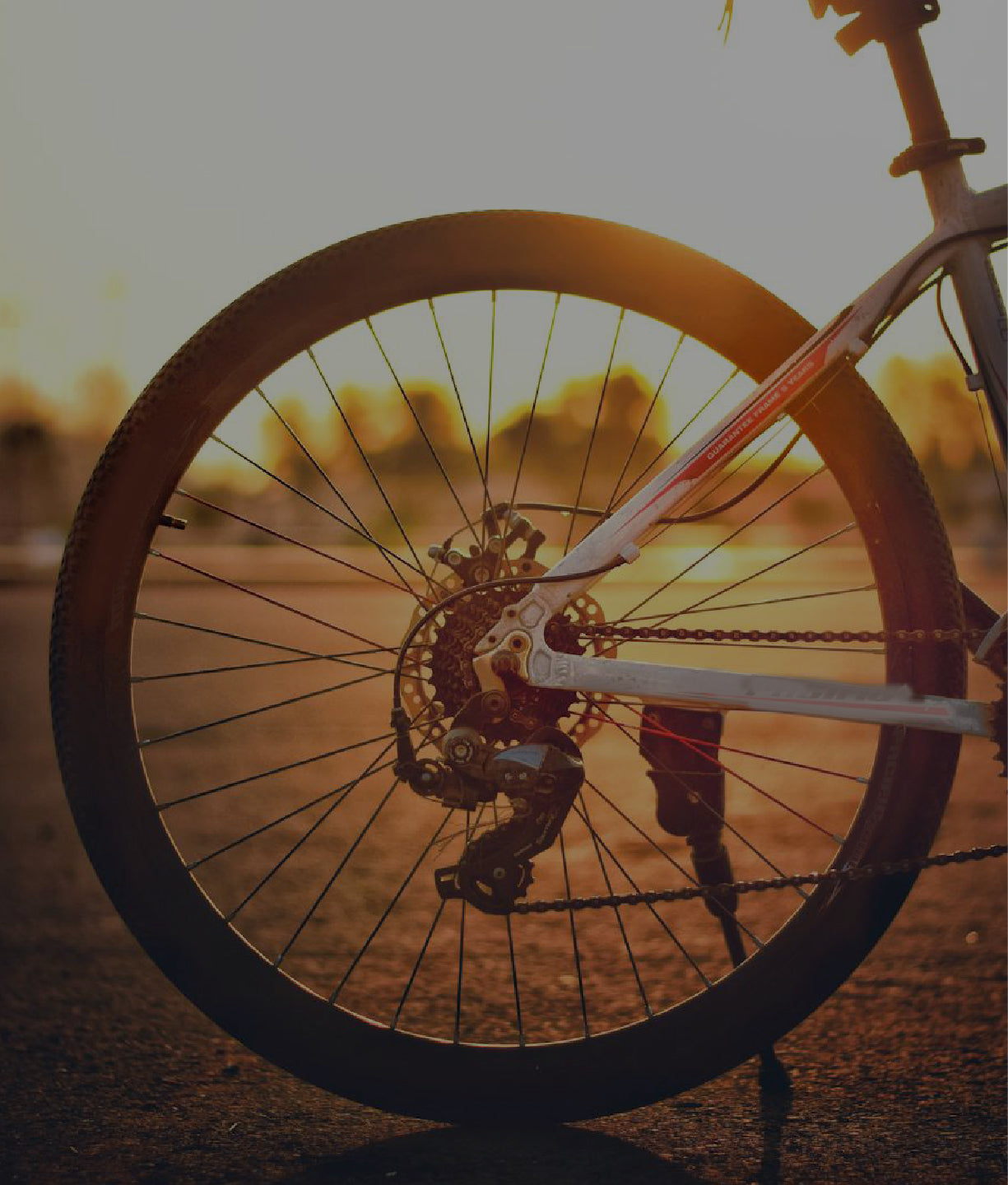 How Much Is Brake Pad Replacement?