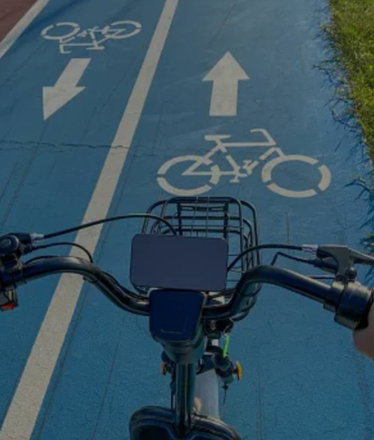 Electric Bike Insurance: Do You Need It?